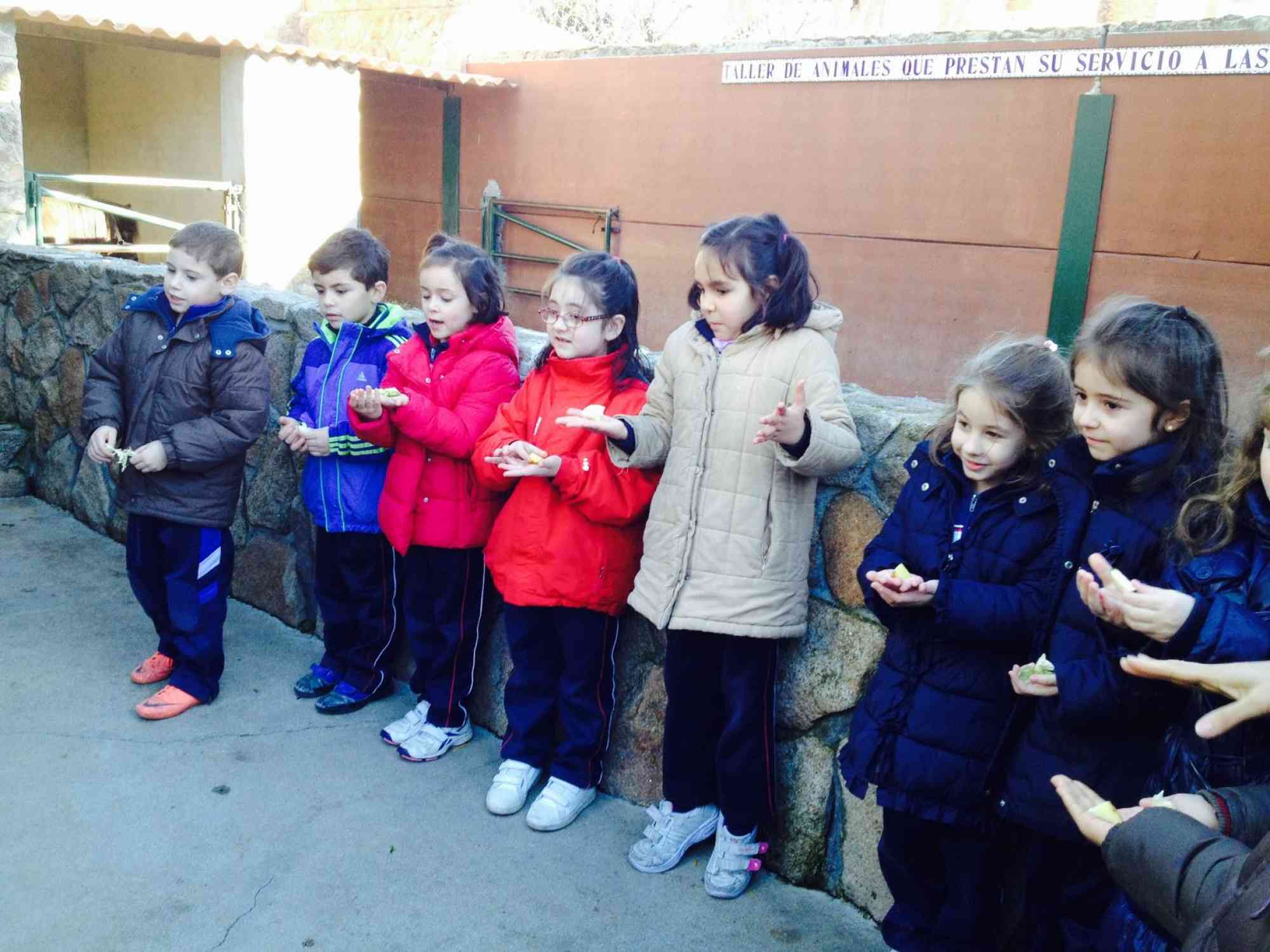 Infantil Primaria Granja De Los Cuentos 2014 13